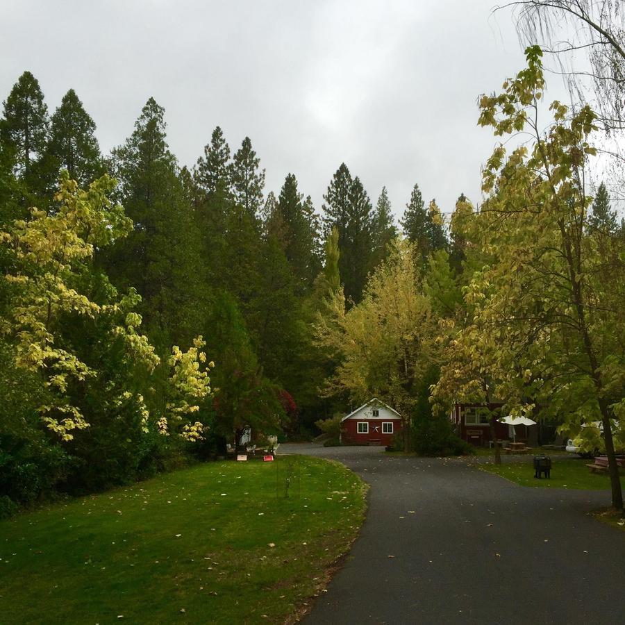 Gables Cedar Creek Inn Twain Harte Bagian luar foto