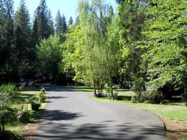 Gables Cedar Creek Inn Twain Harte Bagian luar foto